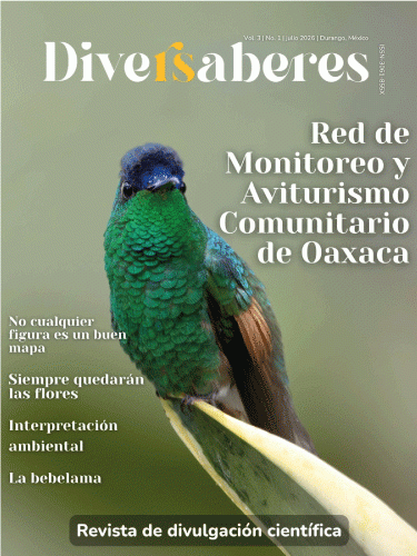diversaberes